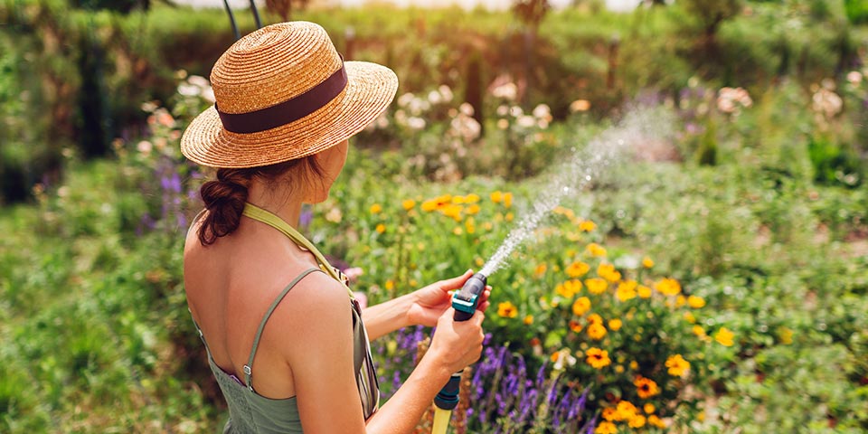 Récupération de l’eau de pluie